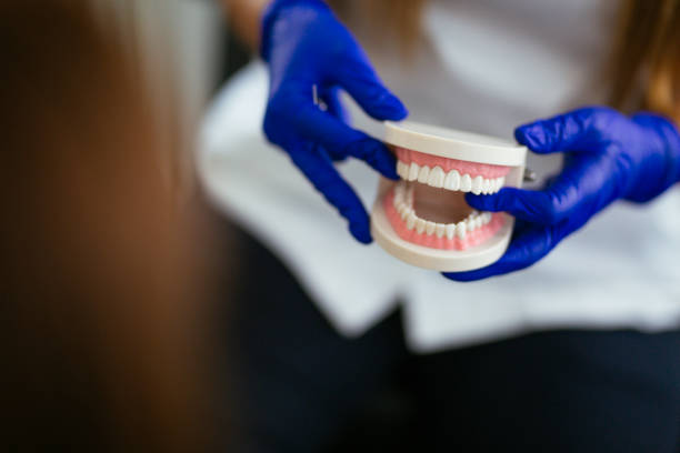 Bremerton, WA Dental Services Company